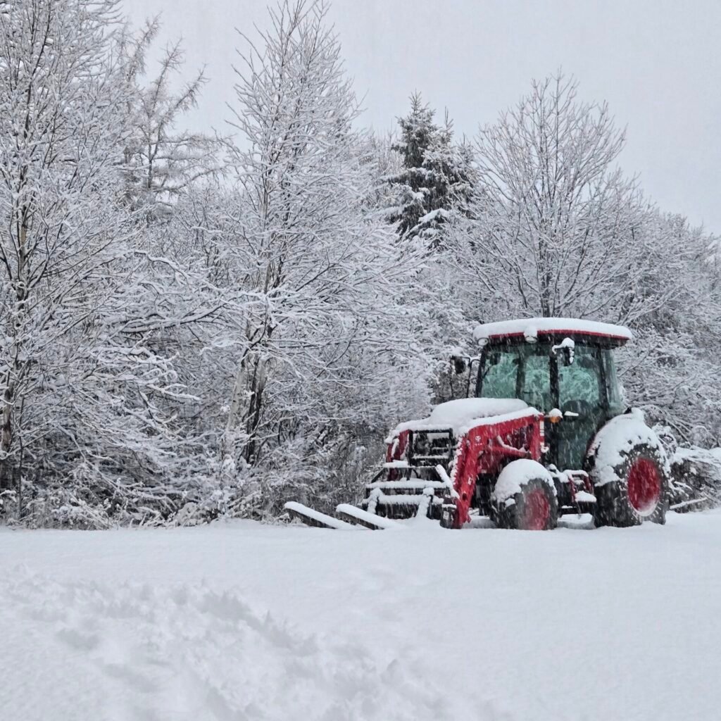 Red tractor in the snow among frosted trees
