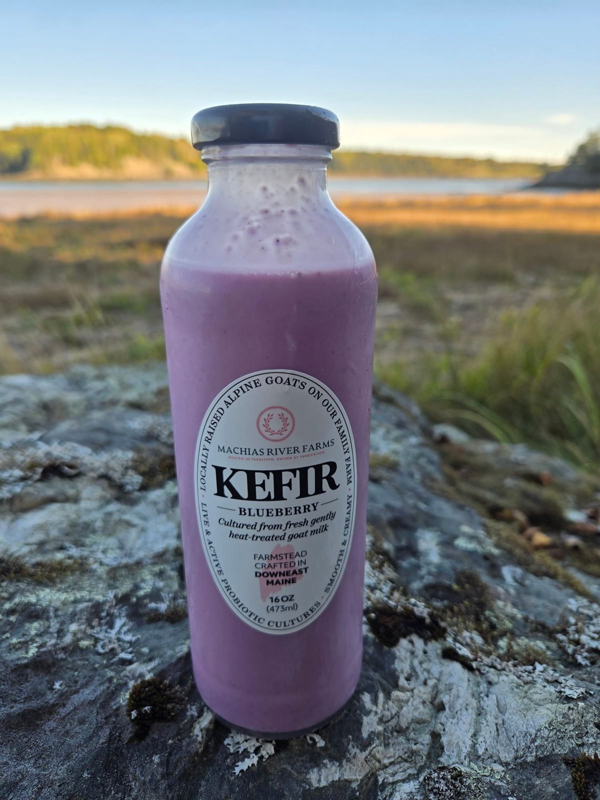 Goat Milk Kefir - Blueberry from Machias River Farms