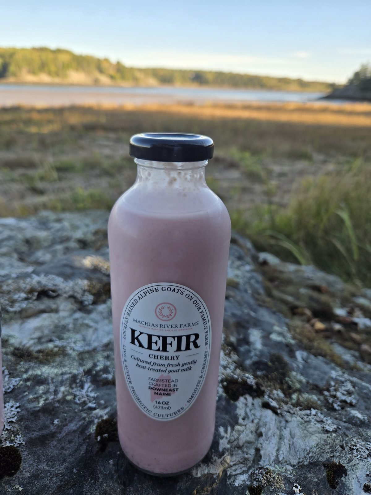 Goat Milk Kefir - Cherry from Machias River Farms