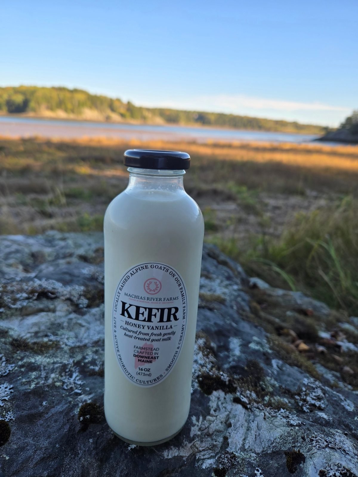 Goat Milk Kefir - Honey Vanilla from Machias River Farms