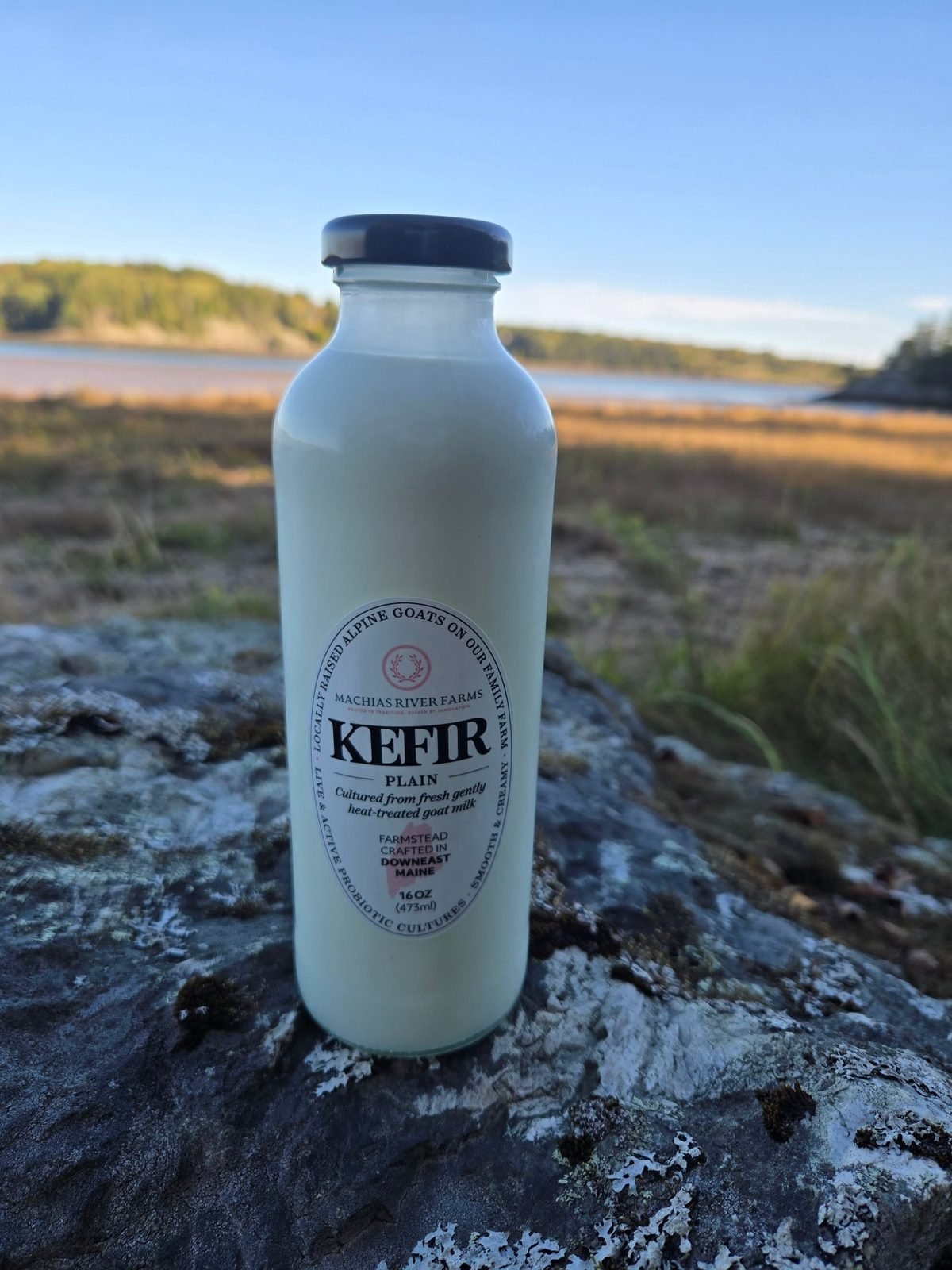 Goat Milk Kefir - Plain from Machias River Farms