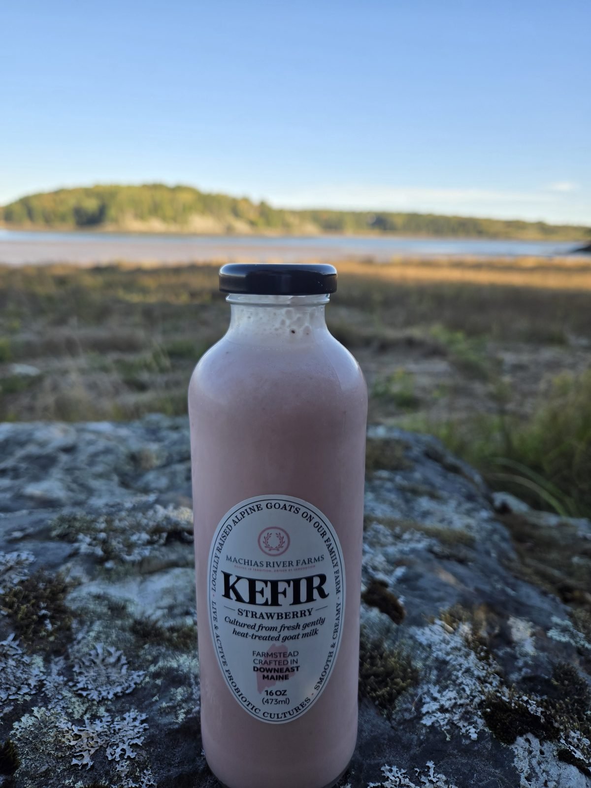 Goat Milk Kefir - Strawberry from Machias River Farms