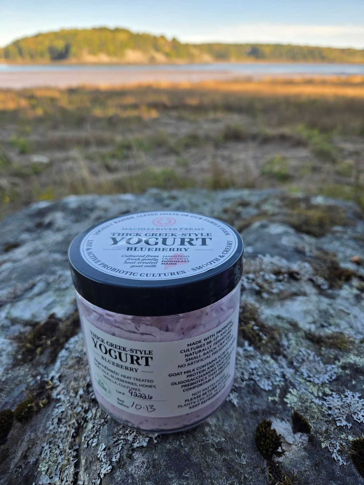 Goat Milk Yogurt - Blueberry from Machias River Farms