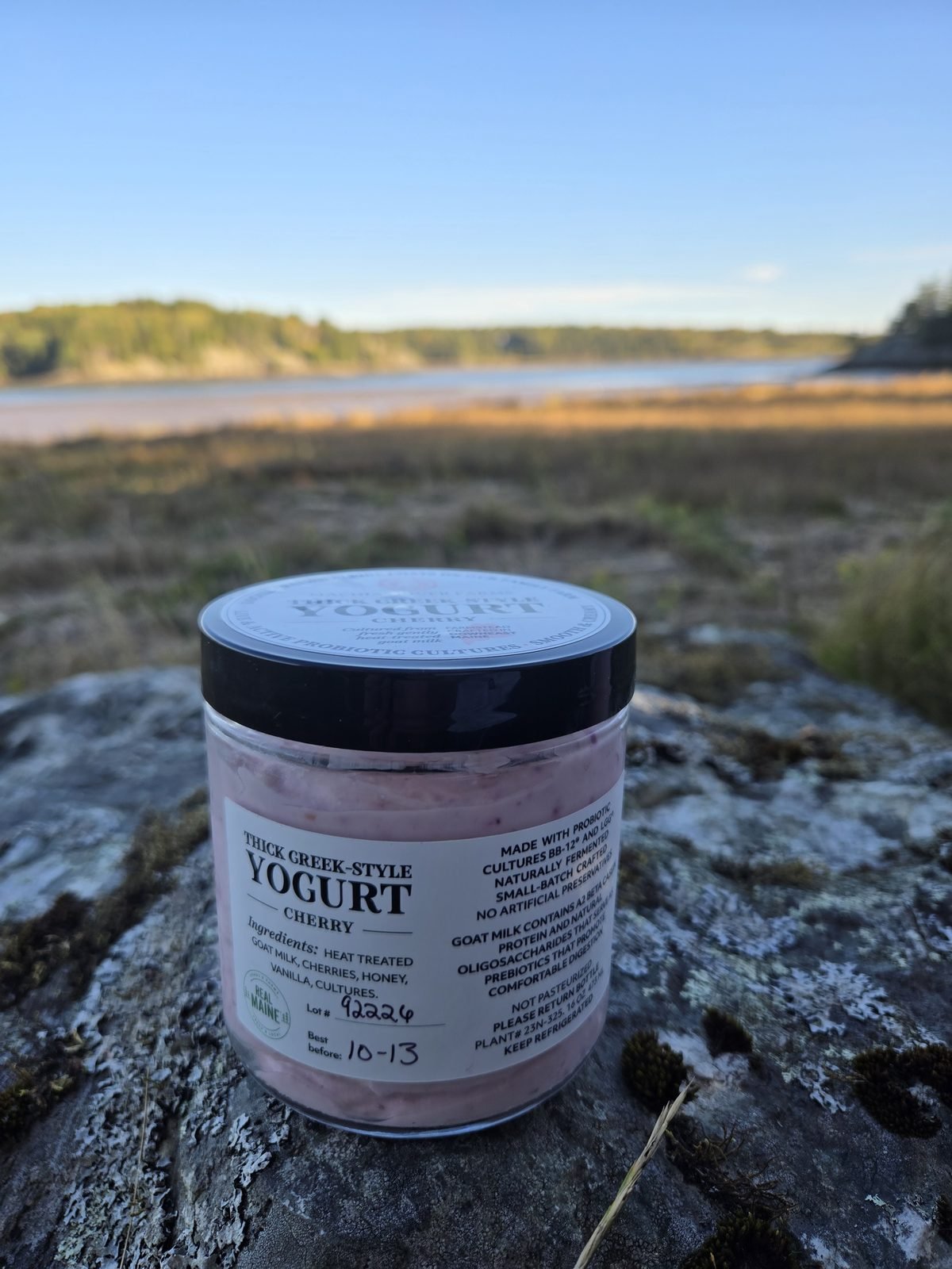 Goat Milk Yogurt - Cherry from Machias River Farms