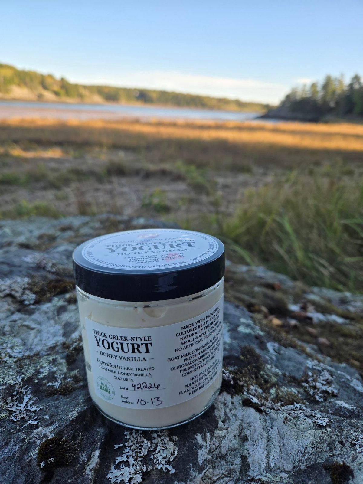 Goat Milk Yogurt - Honey Vanilla from Machias River Farms
