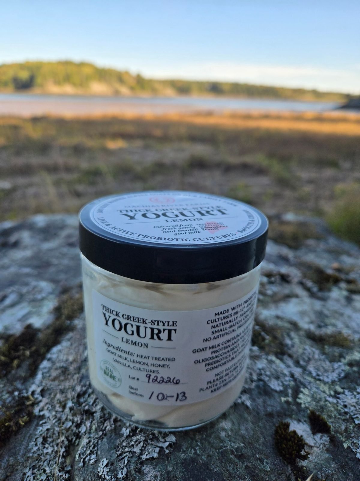 Goat Milk Yogurt - Lemon from Machias River Farms