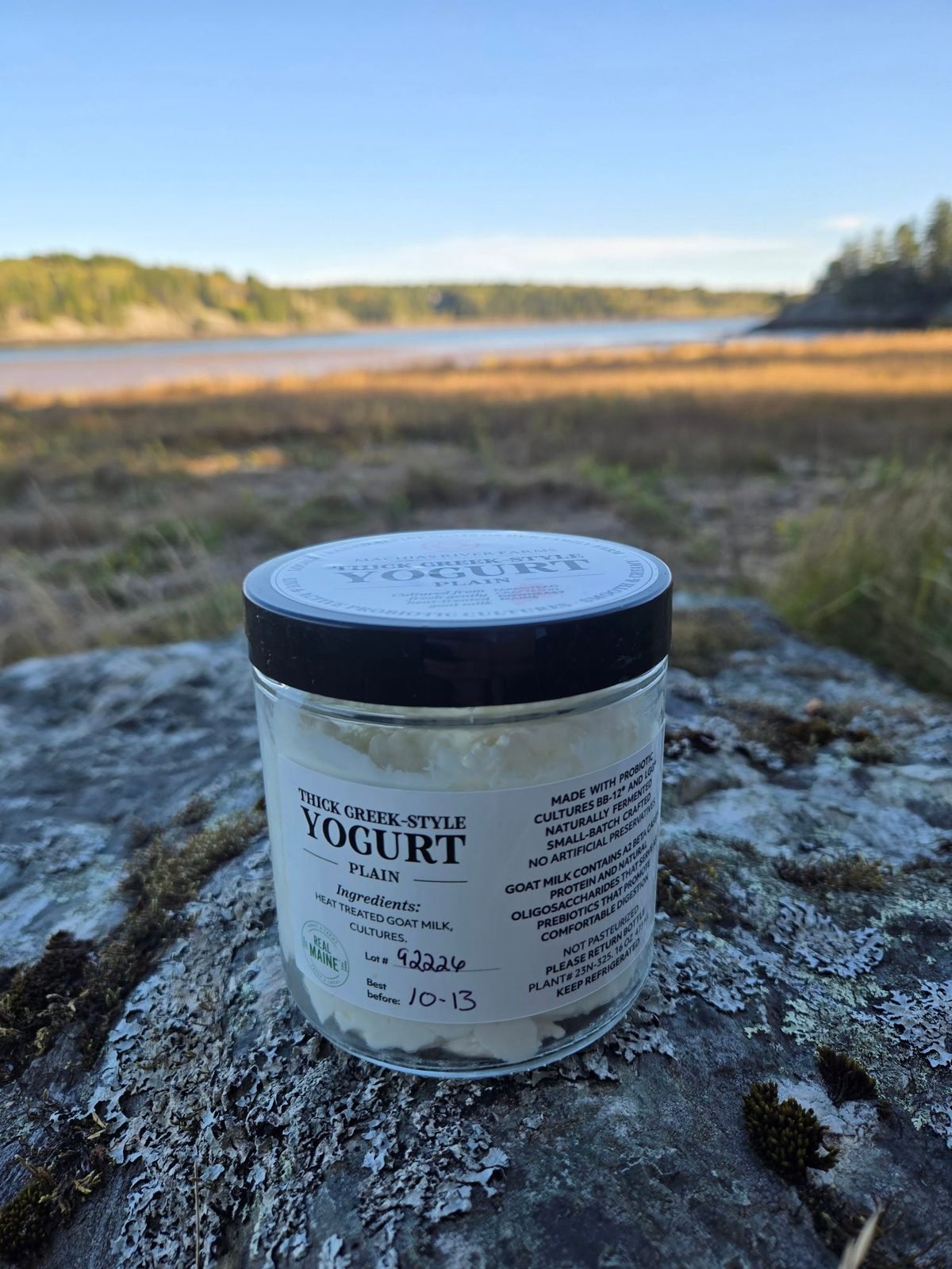 Goat Milk Yogurt - Plain from Machias River Farms