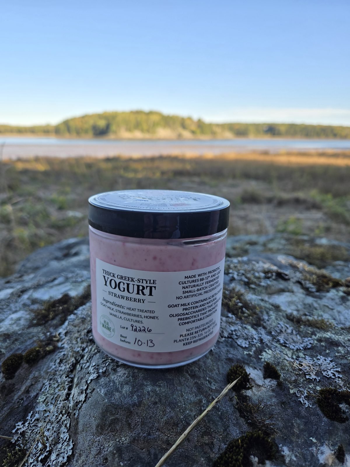 Goat Milk Yogurt - Strawberry from Machias River Farms
